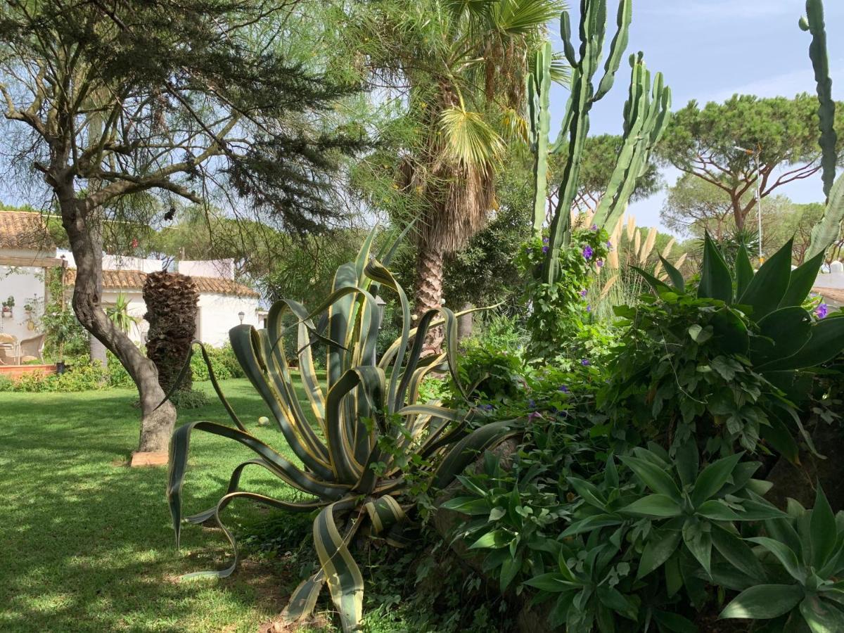 Finca Filpi Otel Chiclana de la Frontera Dış mekan fotoğraf